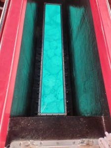 1000037795