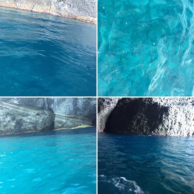 18381896_293218331117345_2975130769426481152_n