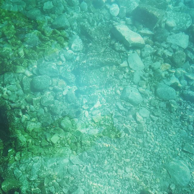 18444204_1784412261872971_7590430225444372480_n