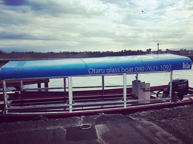 18444569_1452659054756768_1955172553131556864_n