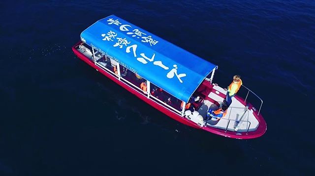 18512436_1740624529561367_7307711413319892992_n