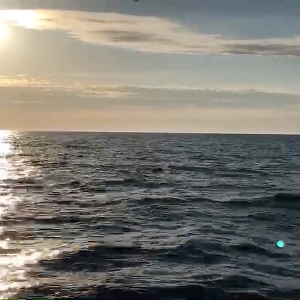 18512796_1384039965023719_8866465541661917184_n