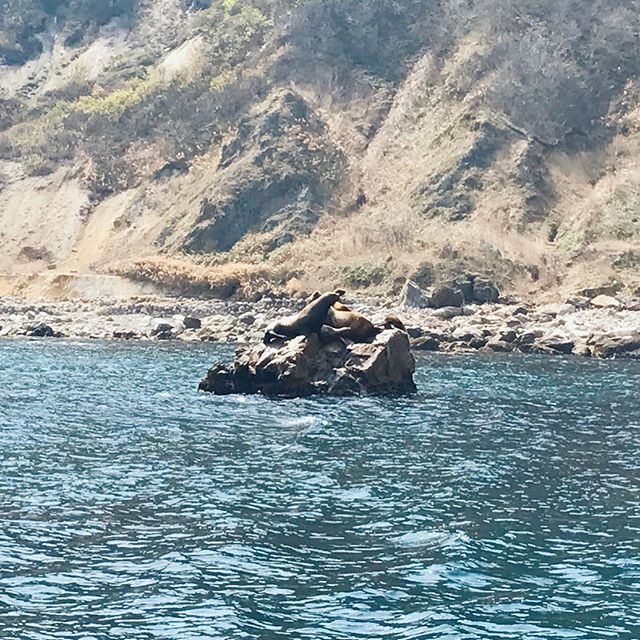 30906000_1861331030603808_7797106147671932928_n